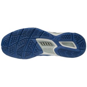 Mizuno Wave Stealth V Παπουτσια Χαντμπολ Ανδρικα - Μπλε